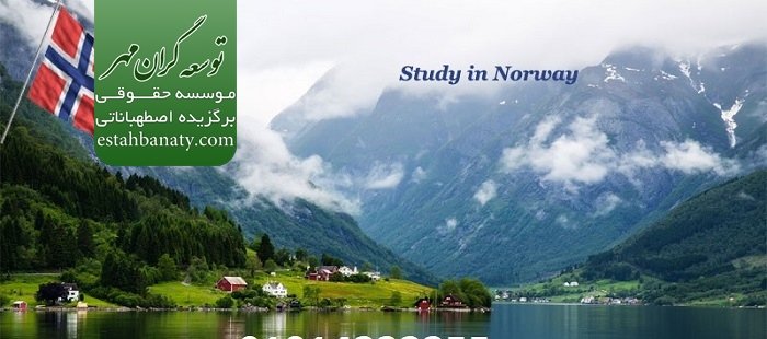 آموزش در نروژ