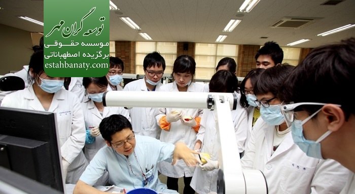 تحصیل پزشکی در کره جنوبی