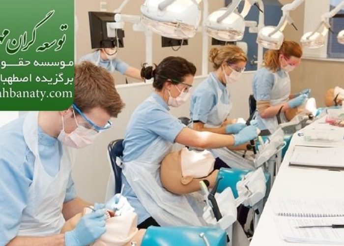 هزینه تحصیل دندانپزشکی در چک