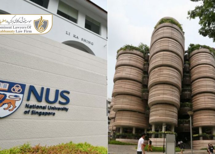 دانشگاه ملی سنگاپور