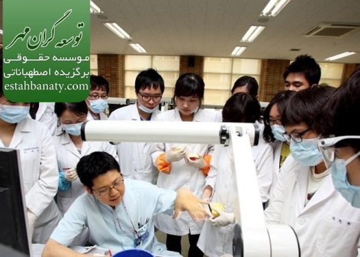 تحصیل دندانپزشکی در کره جنوبی